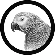 Logo B